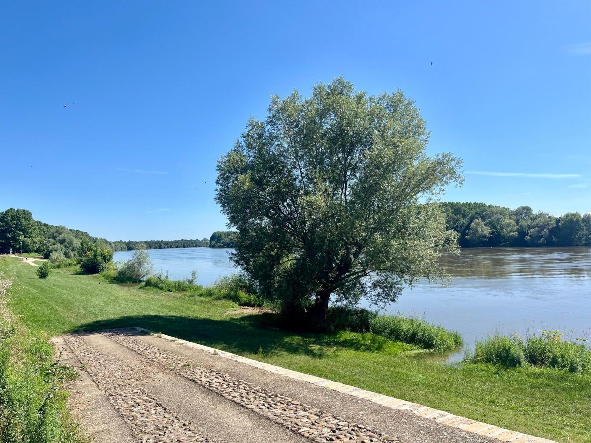 شقة Parking Et Exterieur A 50M De La Saone Montmerle-sur-Saone المظهر الخارجي الصورة